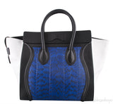 Mini Luggage Tri-color Python