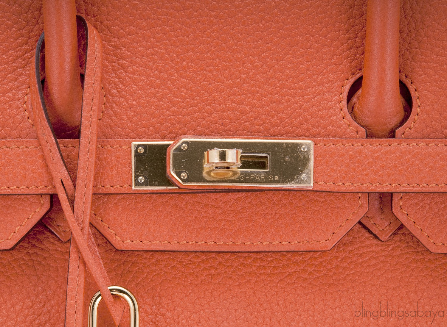 Birkin 35 Feu Taurillon Clem GHW