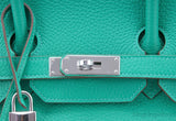 Birkin 35 Mint Taurillon Clem