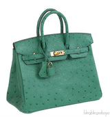 Hermes Birkin 25 Ostrich Vert Vertigo GHW