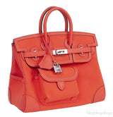 Birkin 25 Cargo Orange Field Toile Goeland Swift PHW