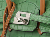 Birkin 25 Cactus Crocodile Natural Sable