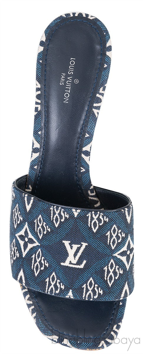 Blue Monogram Embroidered Mules