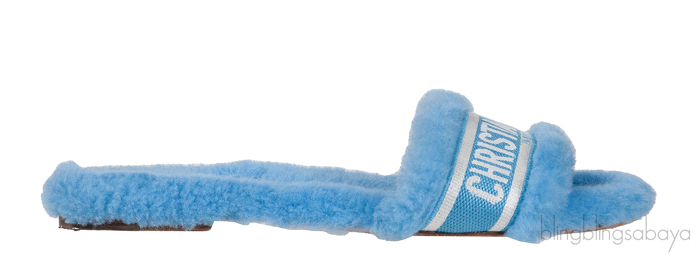 Christian Dior Chez Moi Blue & White Slide