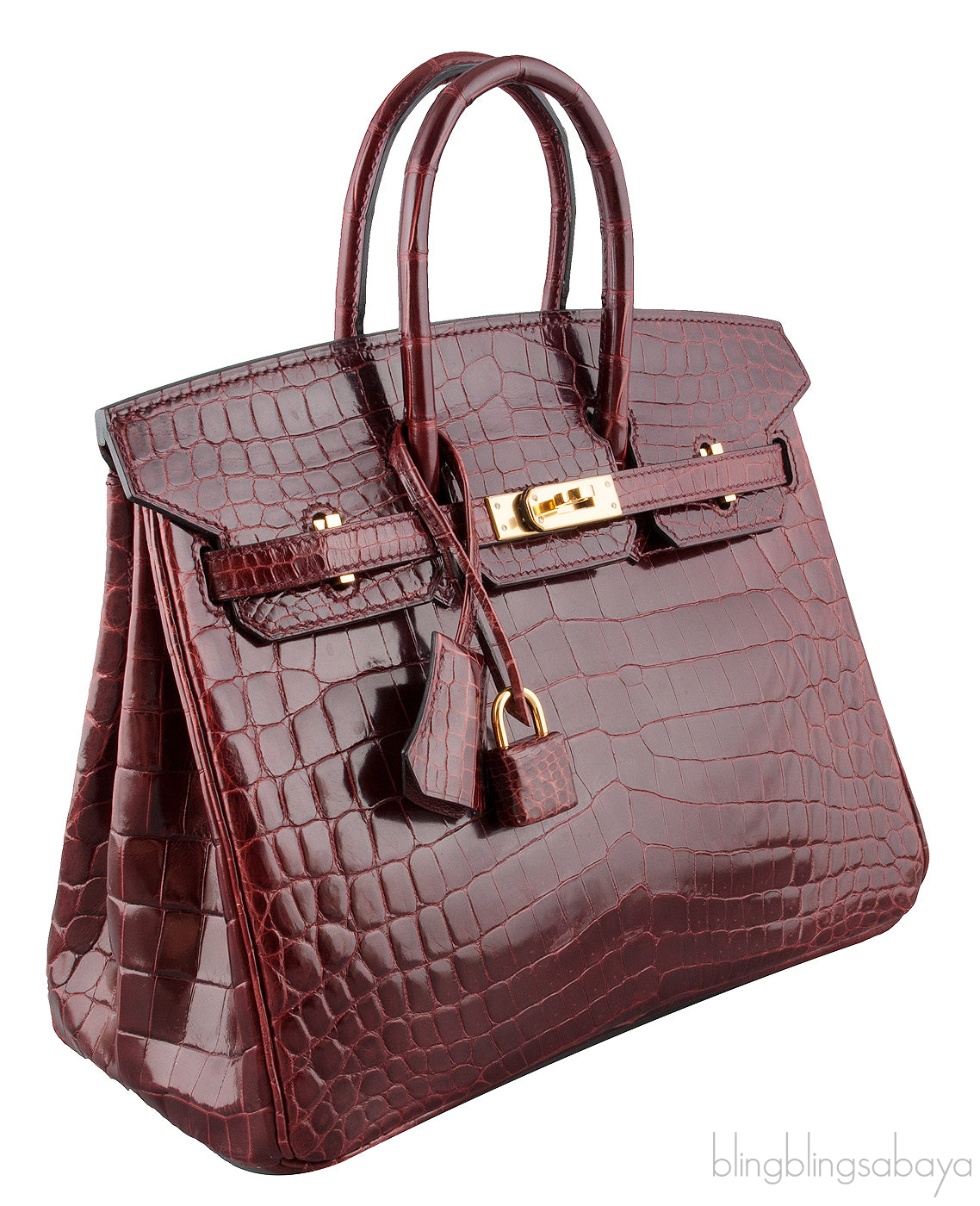 Birkin 25 Bordeaux Crocodile GHW