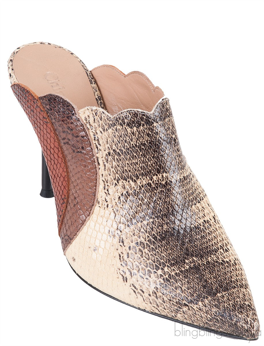 Pointed Multicolor Lauren Mules