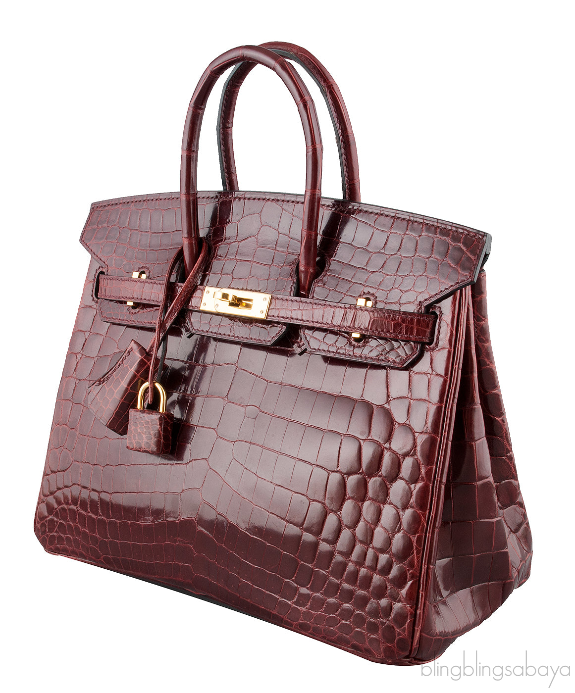 Birkin 25 Bordeaux Crocodile GHW