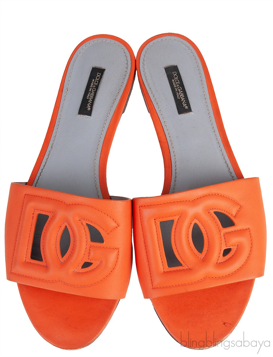 Orange DG Slide