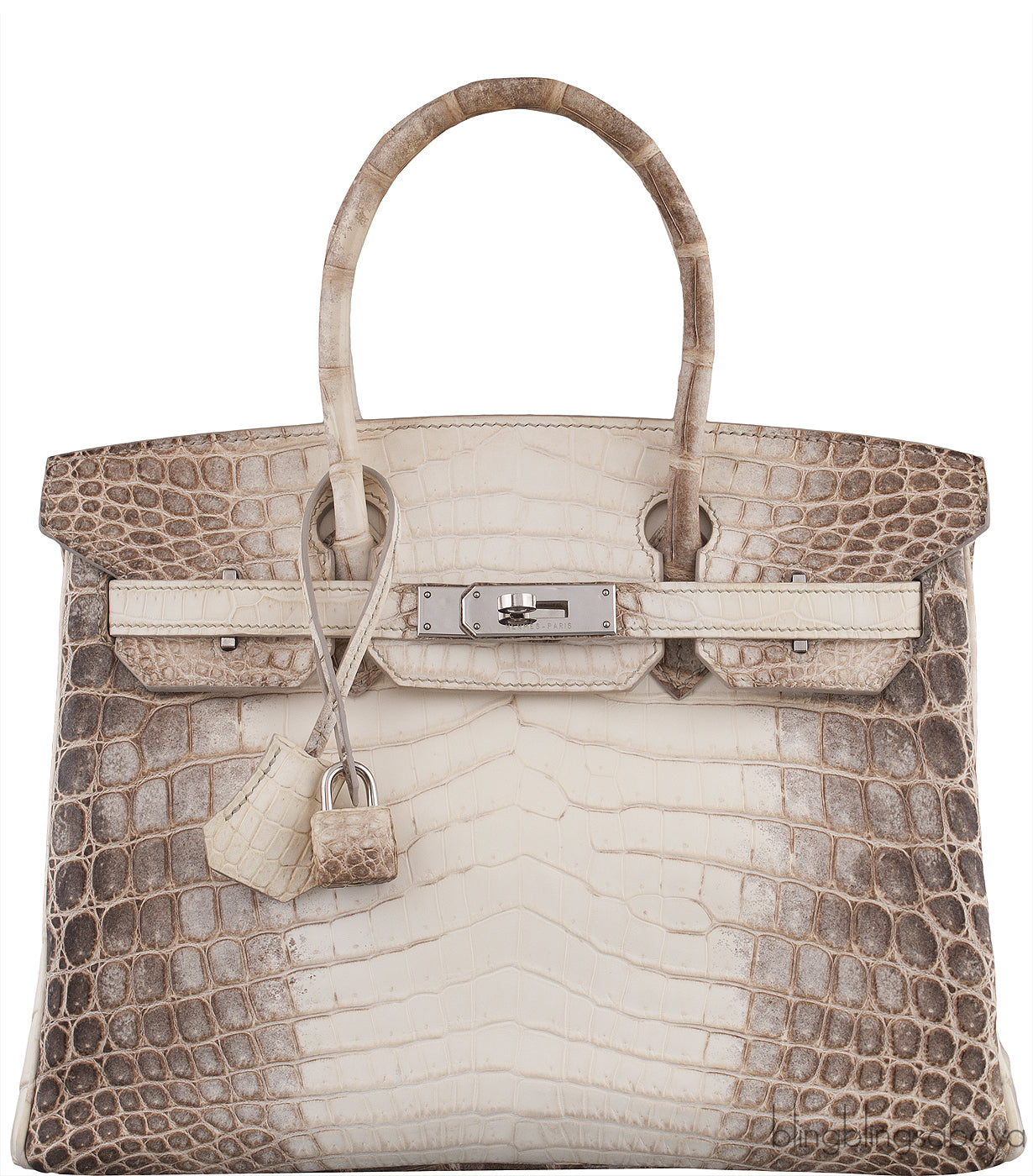 Birkin 30 Himalayan Crocodile PHW