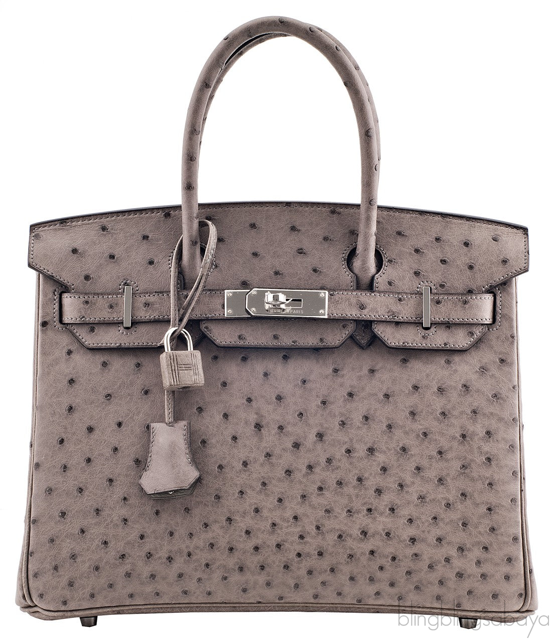 Birkin 30 Grey Tourterelle Ostrich