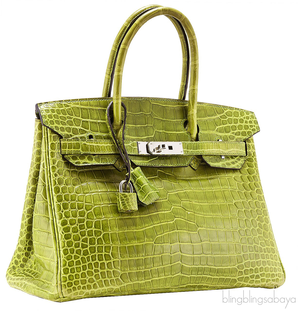 Birkin 30 Vert Pelouse Porosus