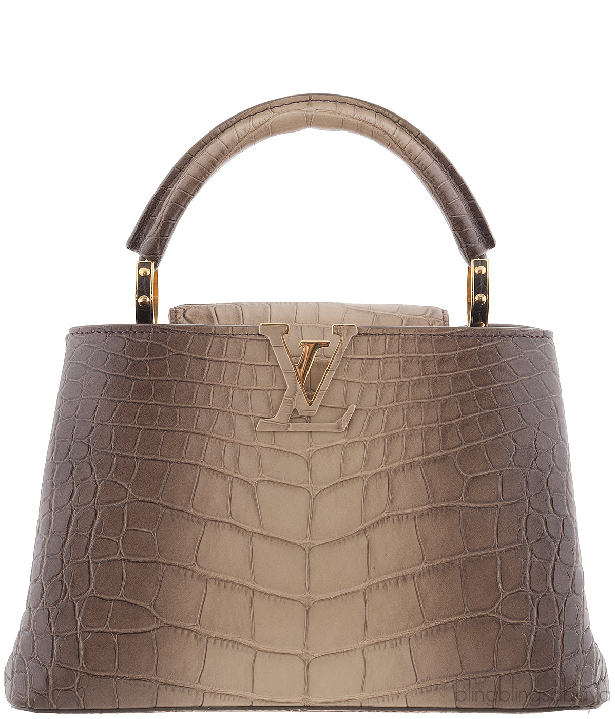 Capucine Gradient Crocodile B