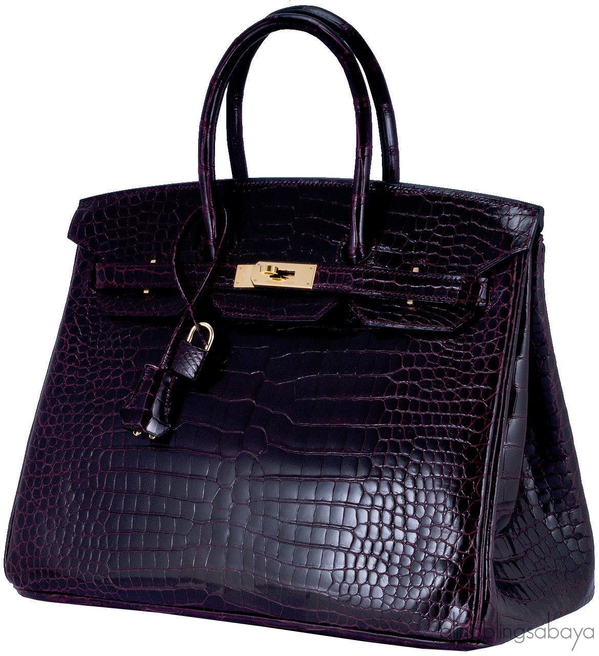 Birkin 35 Patent Prune Crocodile