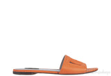 Orange DG Slide