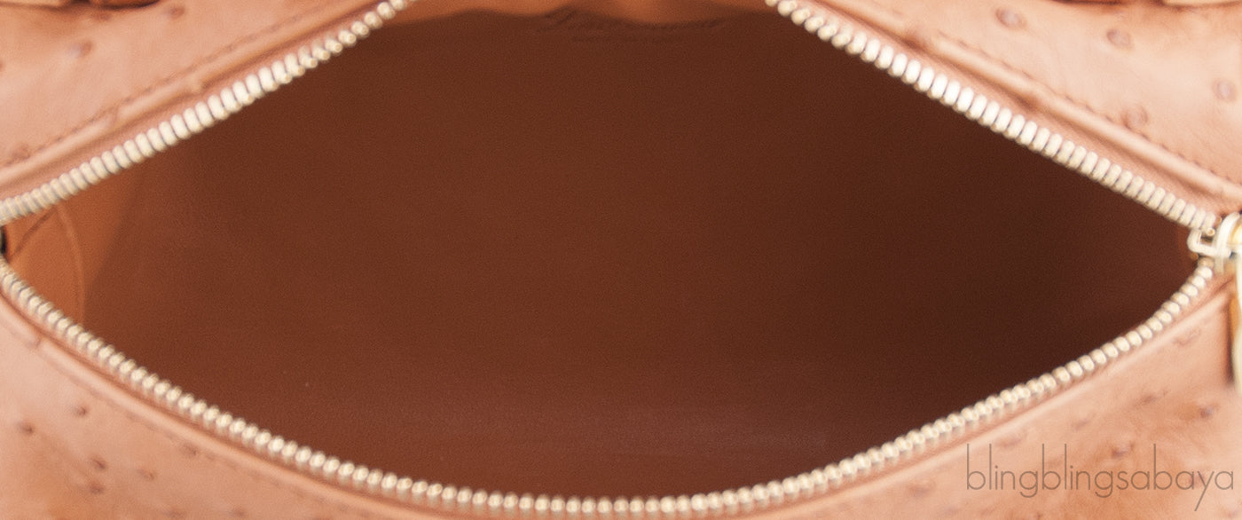 L19 Brown Ostrich Pouch