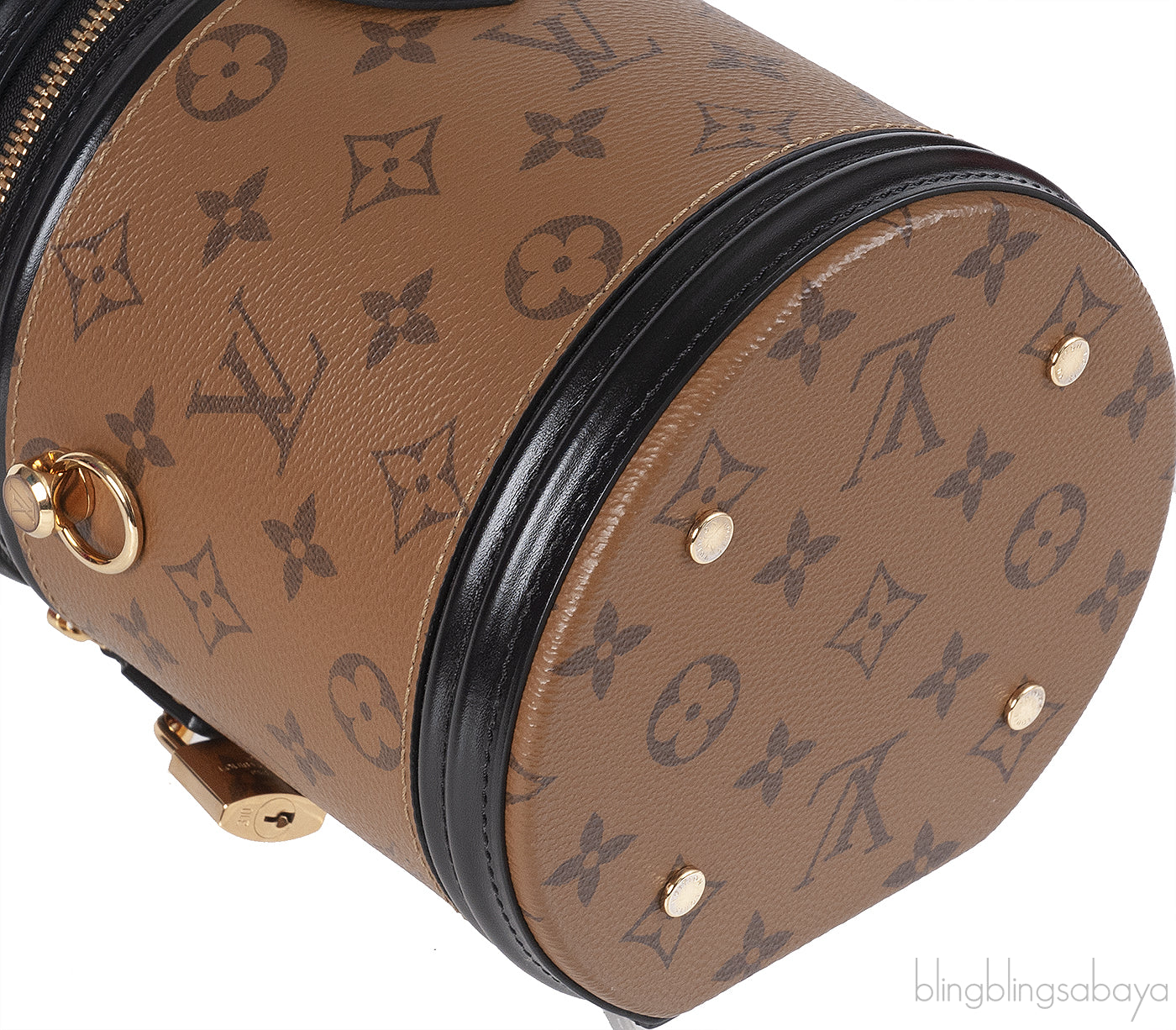 Louis Vuitton Cannes Monogram Bag