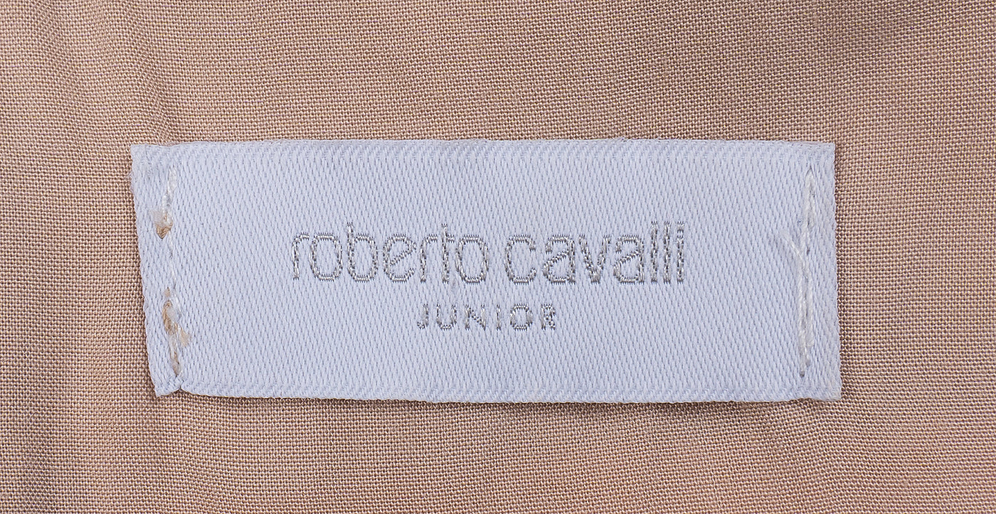 Roberto Cavalli Multicolor Leopard Dress