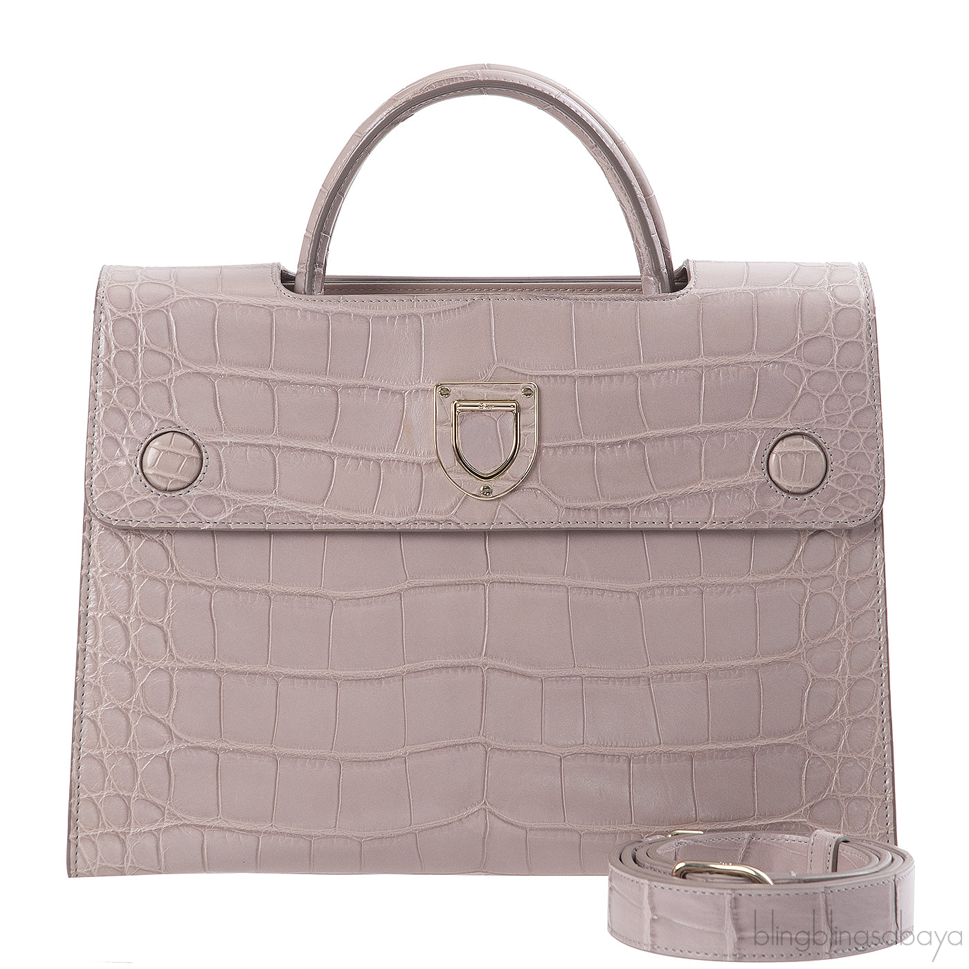 Christian Dior Diorever Crocodile Medium Bag