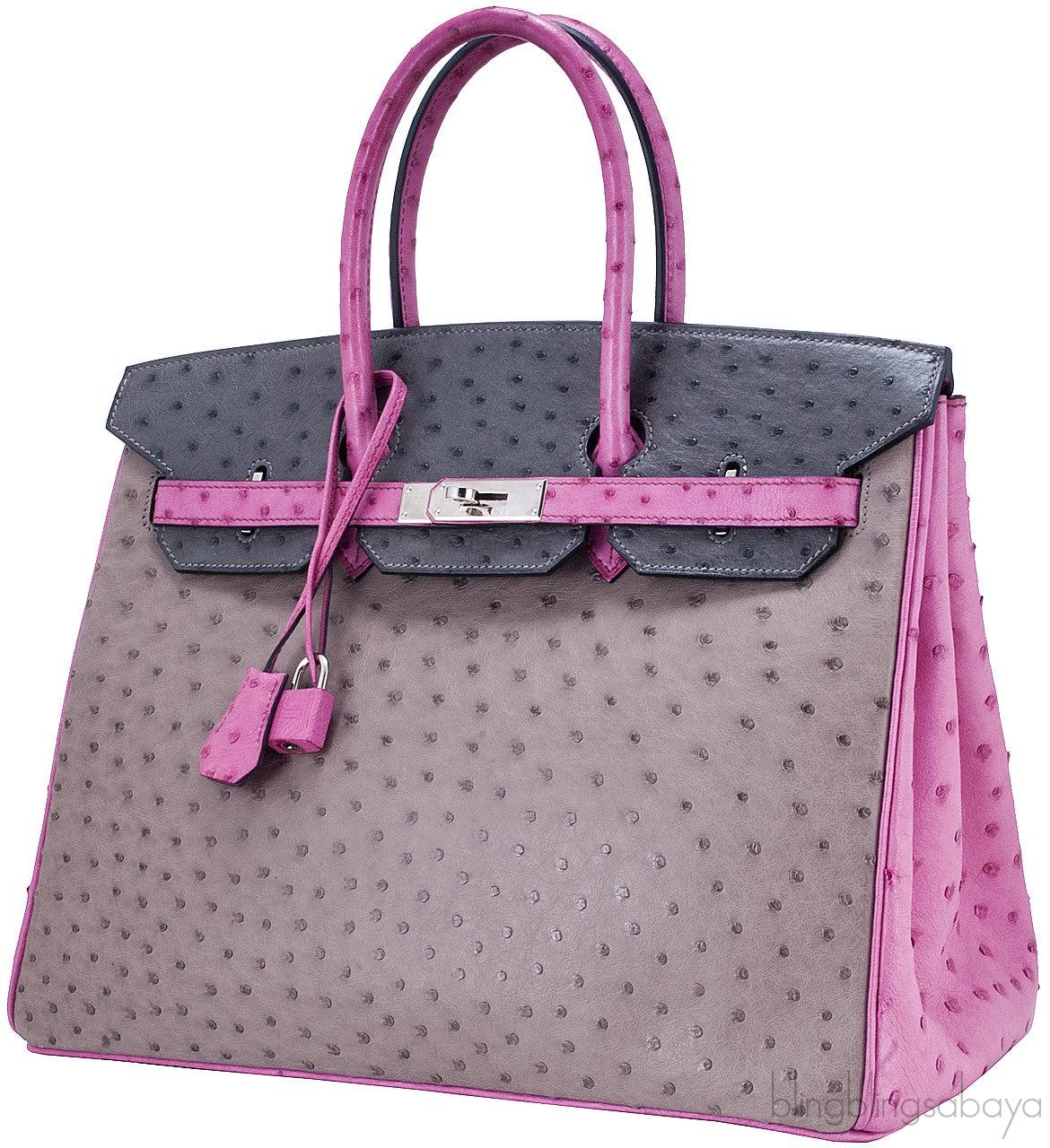 Birkin 35 Tri-Color Ostrich PHW