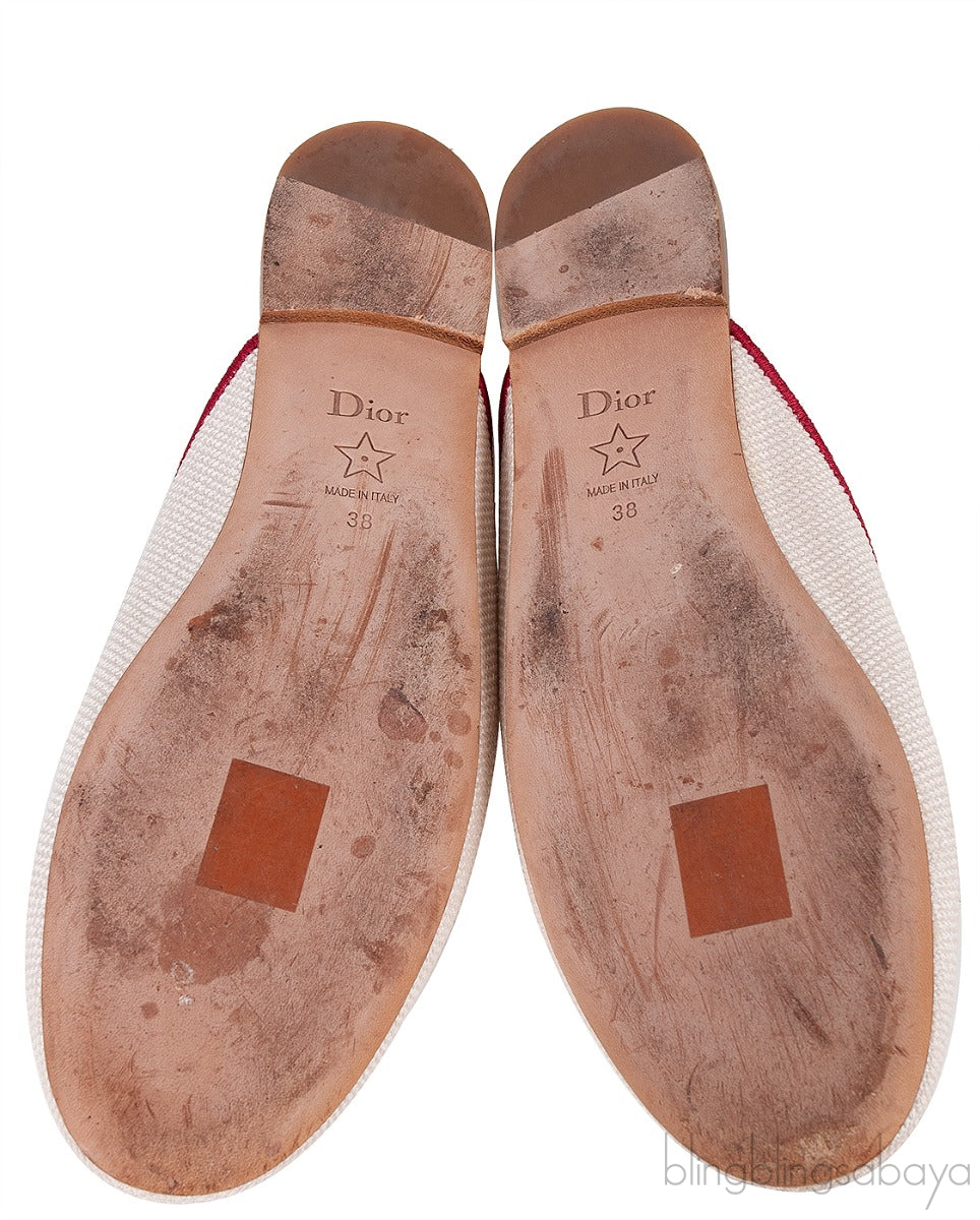 Dior Je T'aime Canvas Mules Beige