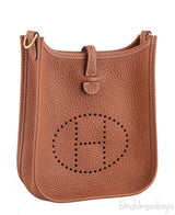 Mini Evelyne Gold Crossbody Bag