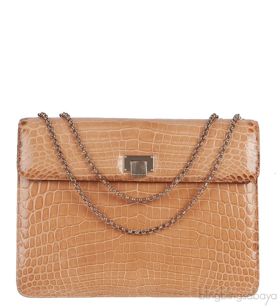 Beige Cornelia Lunch Box Crocodile Bag