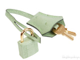 Birkin 25 Vert Criquet Ostrich GHW