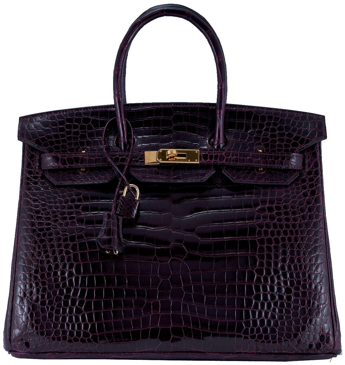 Birkin 35 Patent Prune Crocodile