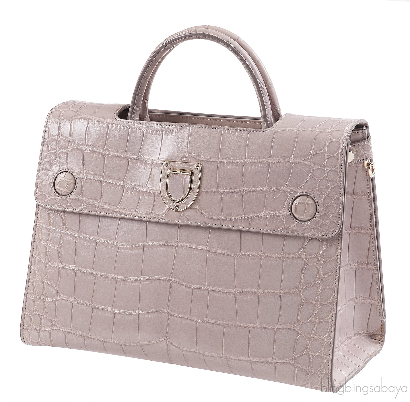 Christian Dior Diorever Crocodile Medium Bag