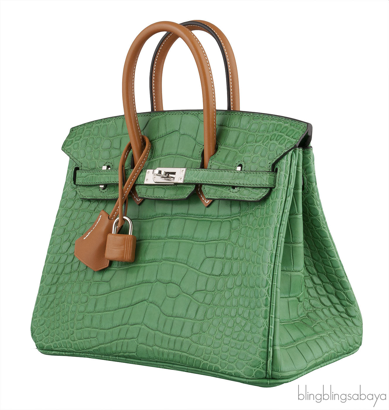 Birkin 25 Cactus Crocodile Natural Sable
