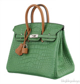 Birkin 25 Cactus Crocodile Natural Sable