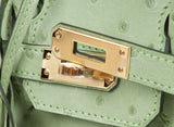 Birkin 25 Vert Criquet Ostrich GHW