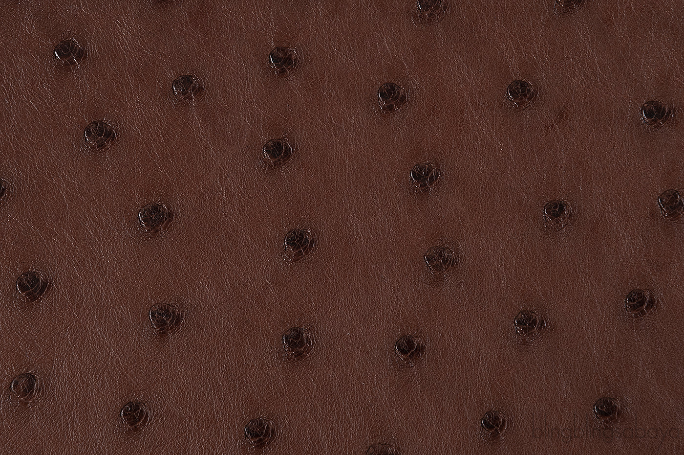 Hermes Kelly 32 Chocolate Natural and Dark Brown Ostrich GHW