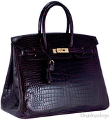 Birkin 35 Patent Prune Crocodile