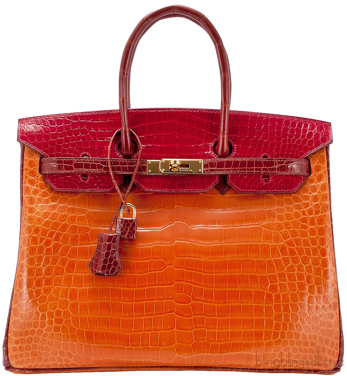 Birkin 35 Tricolor Crocodile Ltd. Ed.