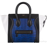 Mini Luggage Tri-color Python