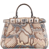 Multicolored Mini Peekaboo Studded Python