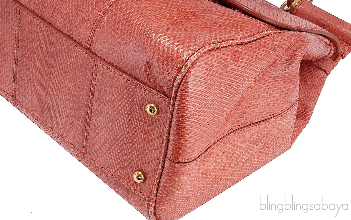 Snakeskin Miss Sicily Orange