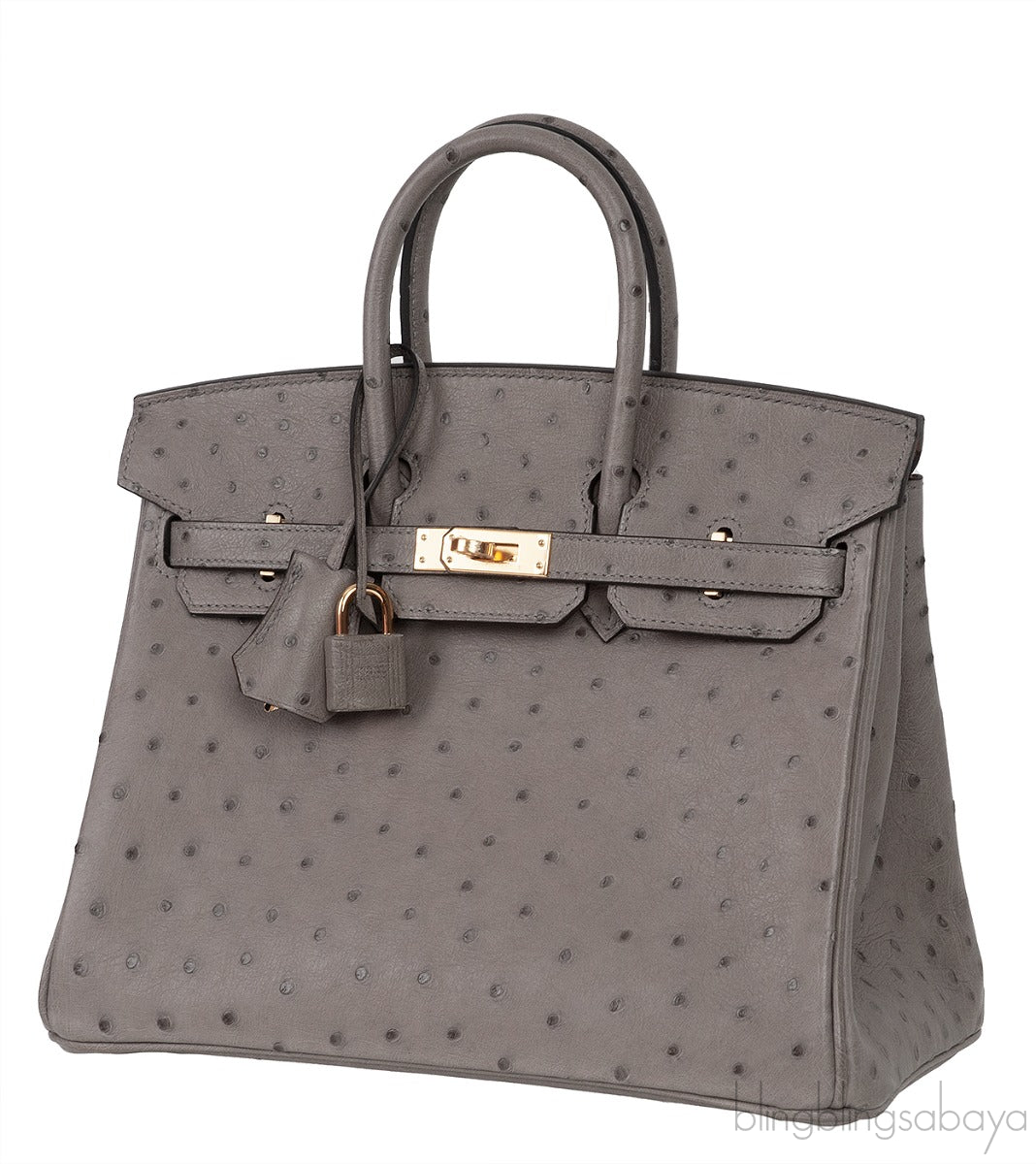 Hermes Special Order Birkin 25 Gris Tourterelle Ostrich and Toffee GHW
