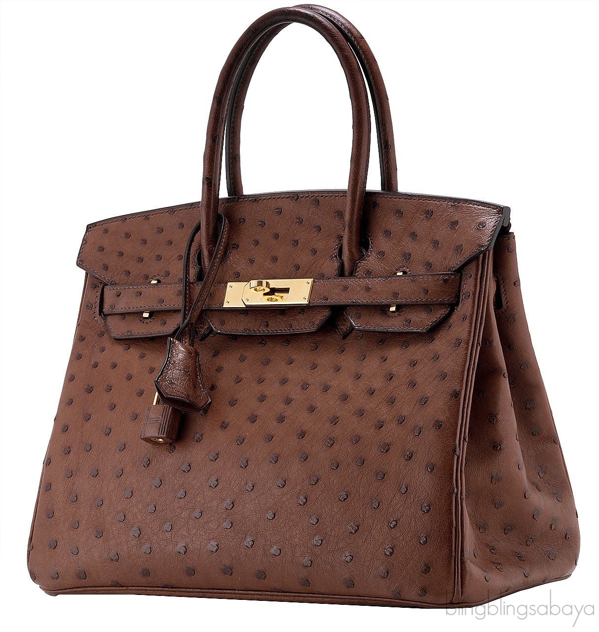 Birkin 30 Etrusque Chocolate Ostrich