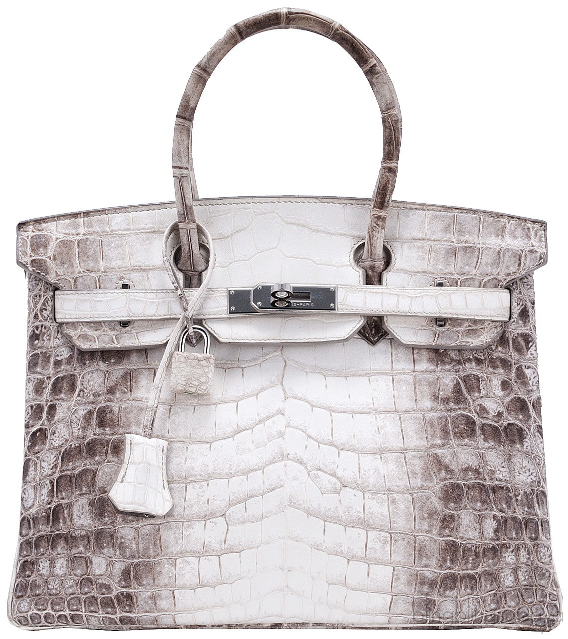 Birkin 30 Himalaya Matte Niloticus