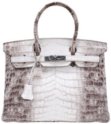 Birkin 30 Himalaya Matte Niloticus
