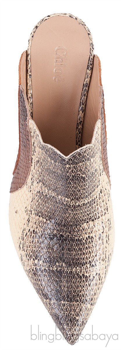 Pointed Multicolor Lauren Mules