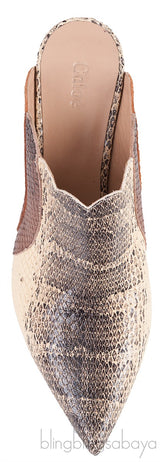 Pointed Multicolor Lauren Mules