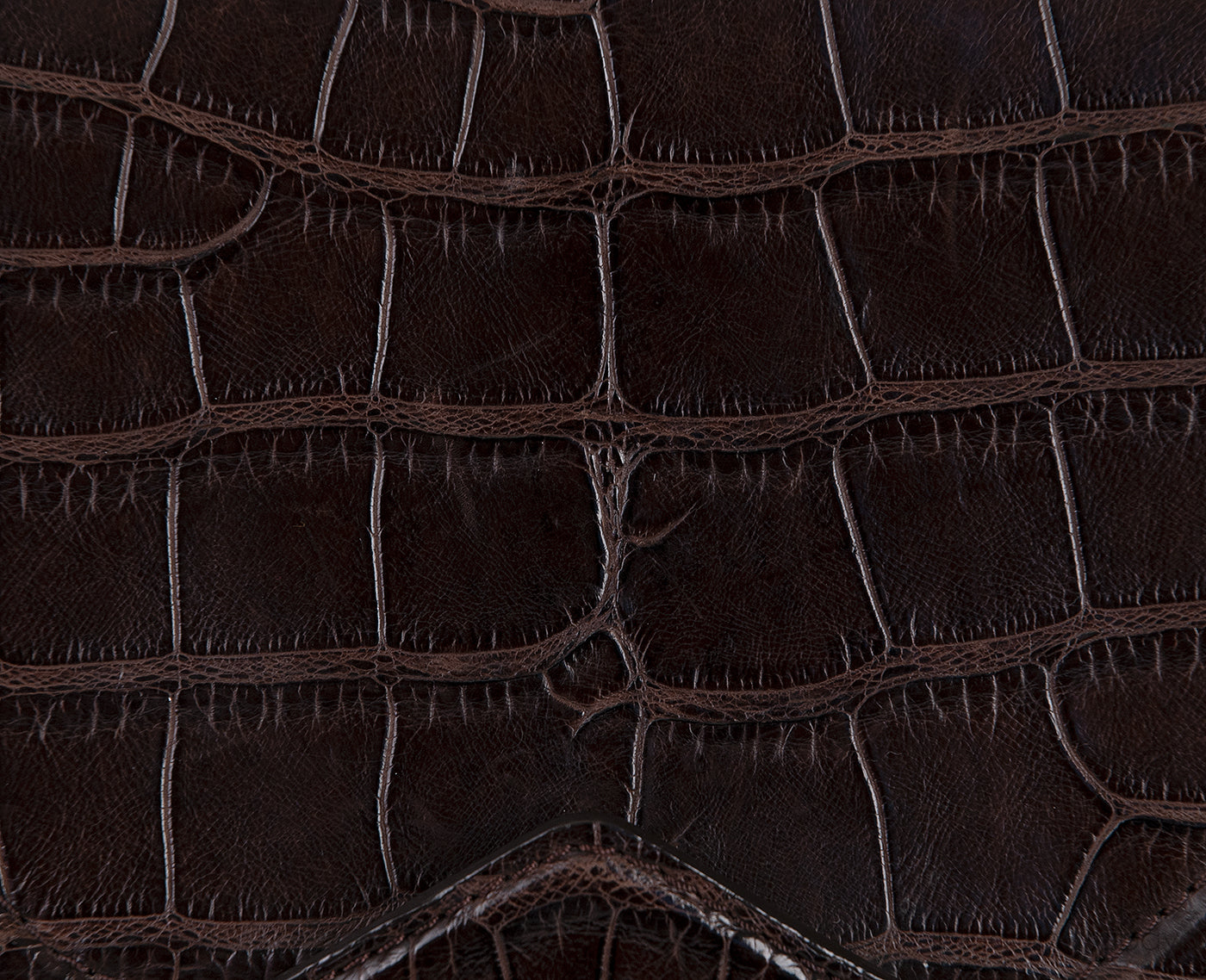 Brown Crocodile Shoulder Bag
