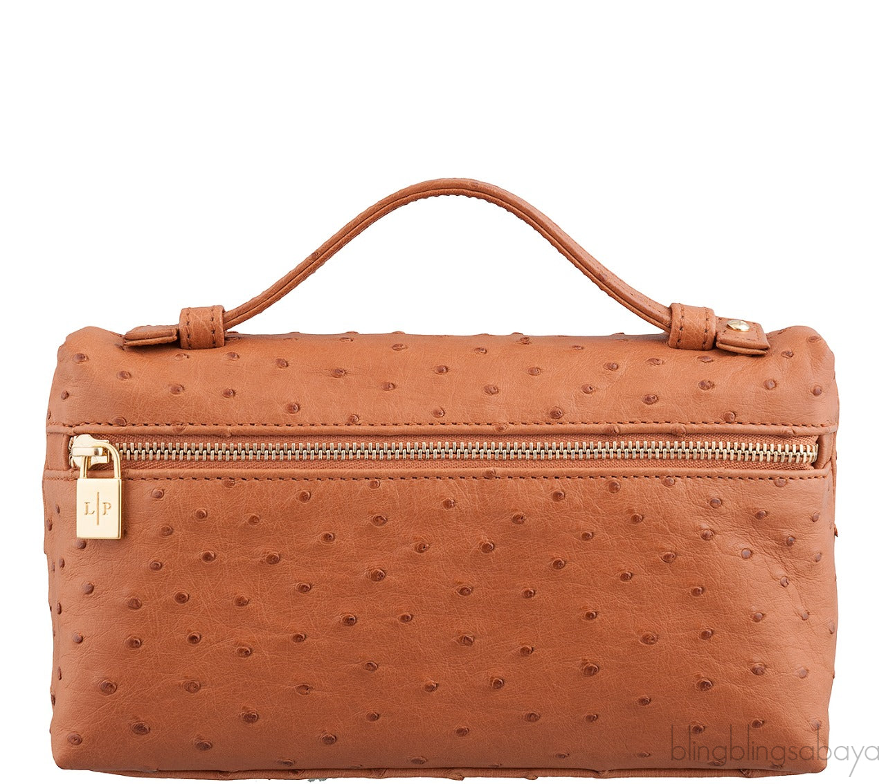 L19 Brown Ostrich Pouch