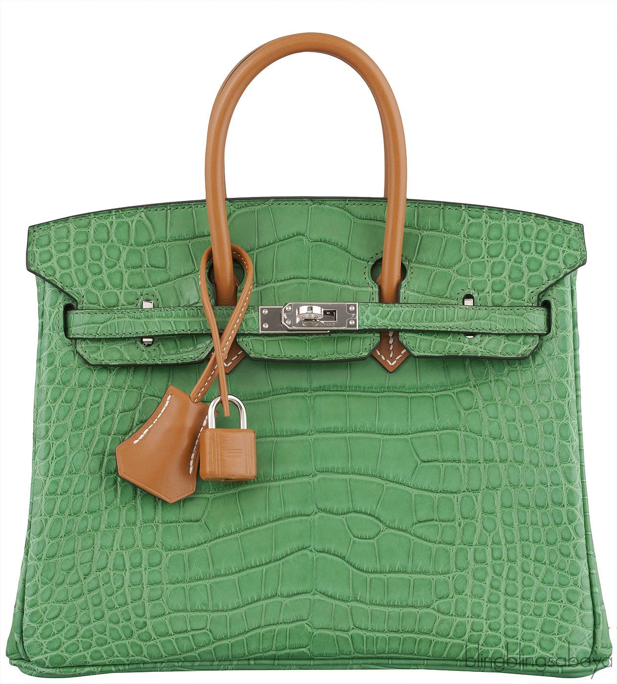 Birkin 25 Cactus Crocodile Natural Sable
