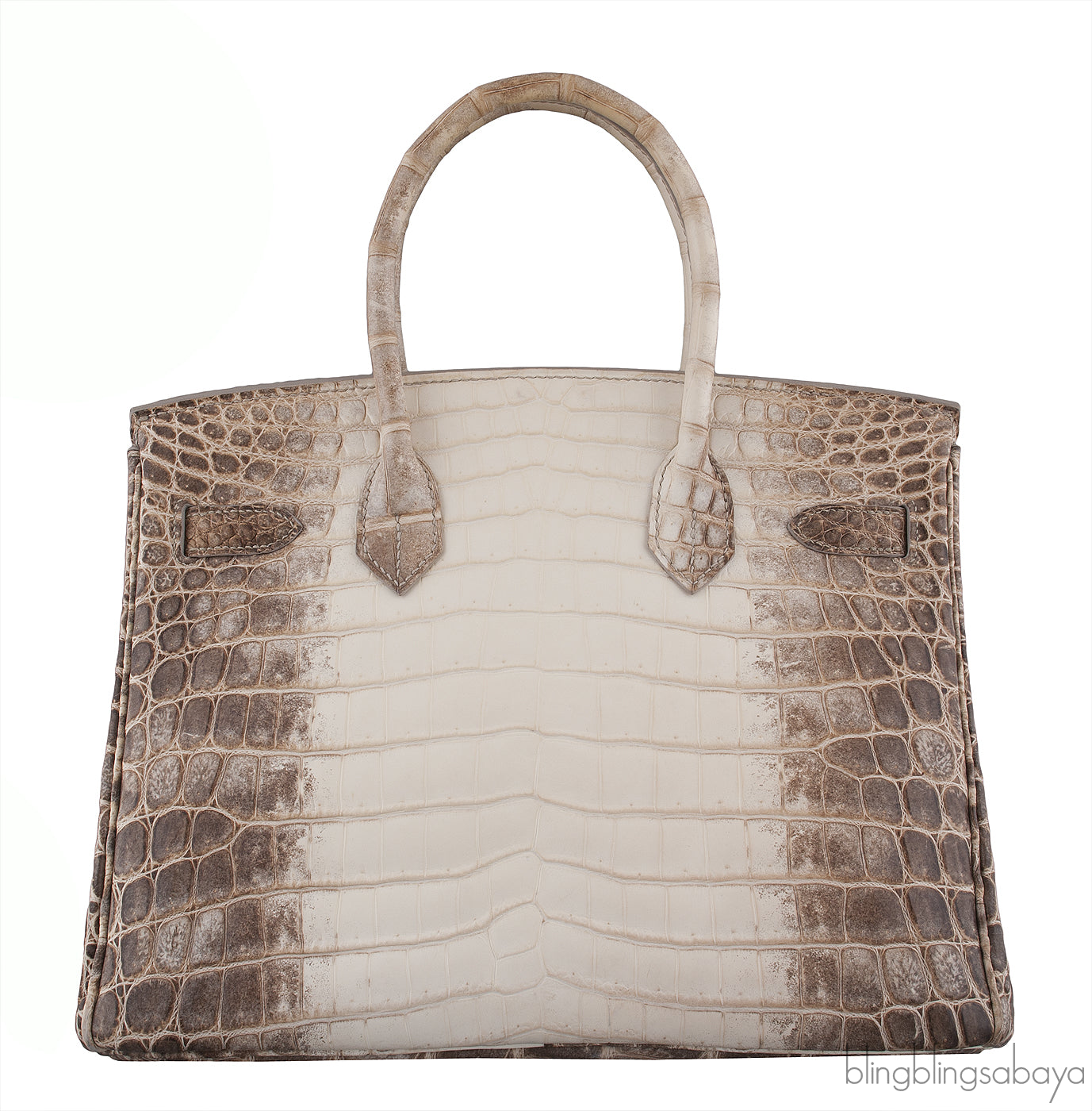 Birkin 30 Himalayan Crocodile PHW