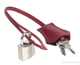 Birkin 30 Rubis Epsom PHW