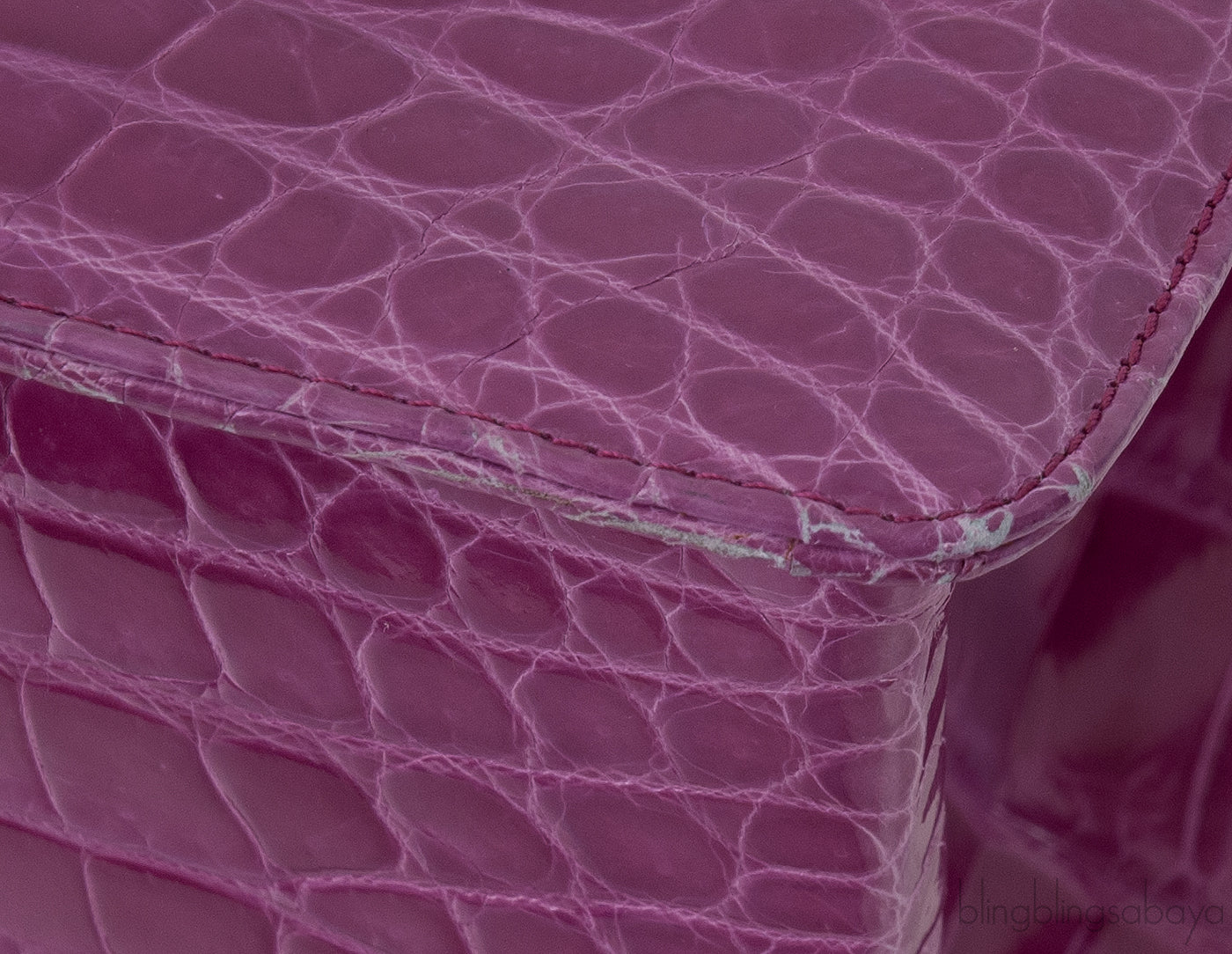 Cornelia Purple Crocodile Lunch Box